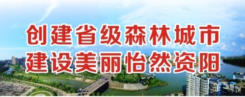 操大网站创建省级森林城市 建设美丽怡然资阳