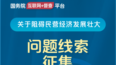 性高潮视频网站国务院“互联网+督查”平台公开征集阻碍民营经济发展壮大问题线索